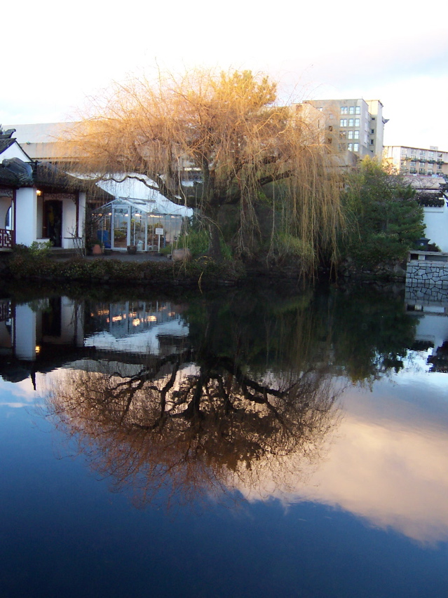 Chinese Garden