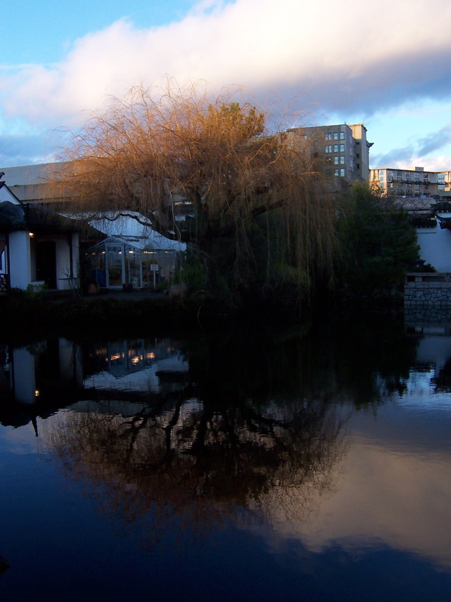 Chinese Garden