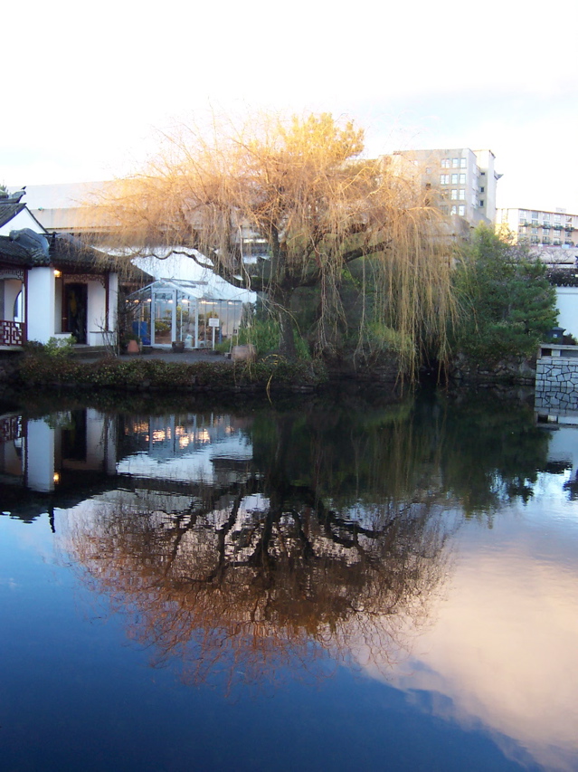 Chinese Garden