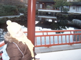 Verica in the Chinese garden