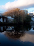 Chinese Garden