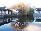 Chinese Garden